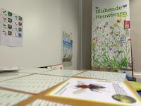 Sonderausstellung Bluehende Heuwiesen_ Fundreich _2_